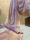 Raw Organza Saree in Subtle Pastel Hues